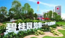 玉林碧桂园爆料案件最新,揭秘背后惊人真相，业主权益如何保障？