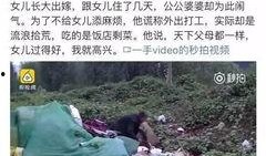 羊村最新爆料事件视频大全,事件视频大全揭秘真相